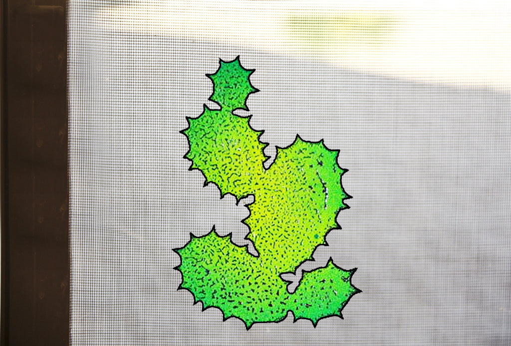 Prickly Pear Screen Magnet