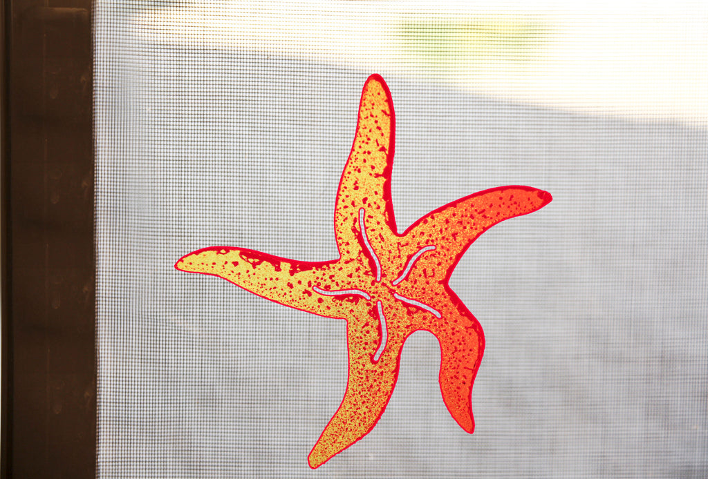 Starfish Screen Magnet